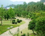 公园绿化