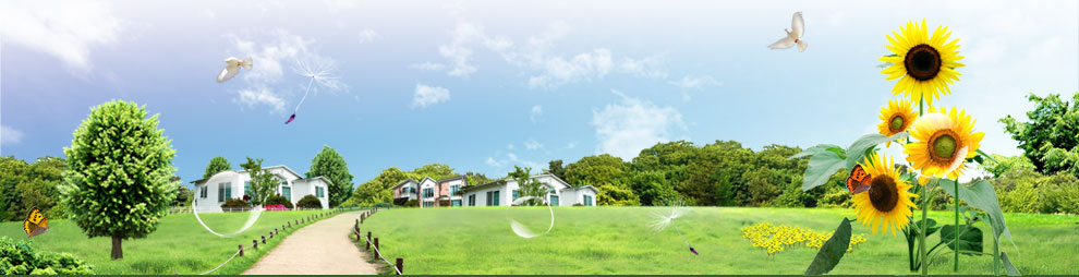 沭阳县鑫鹏园艺花木场